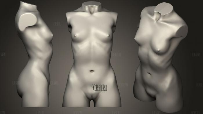 Feminine Body stl model for CNC
